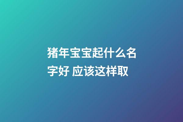猪年宝宝起什么名字好 应该这样取